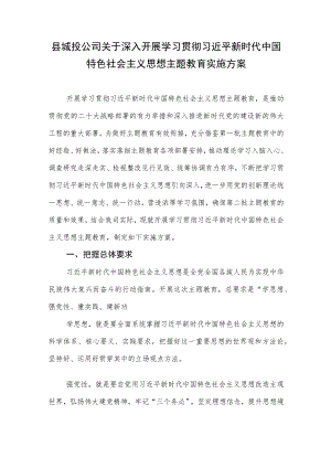 城投公司“学思想、强党性、重实践、建新功”2023年第二批主题教育实施方案.docx