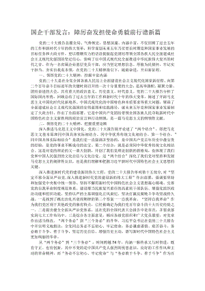 国企干部发言：踔厉奋发担使命勇毅前行谱新篇.docx