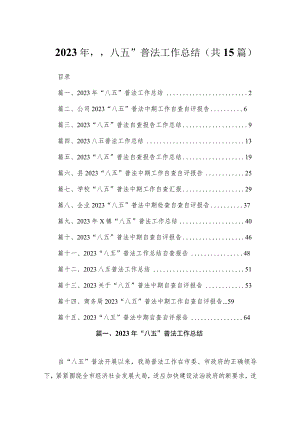 2023年“八五”普法工作总结（共15篇）.docx