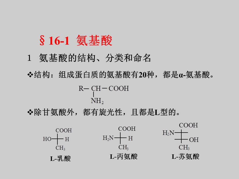 氨基酸、蛋白质.ppt_第2页