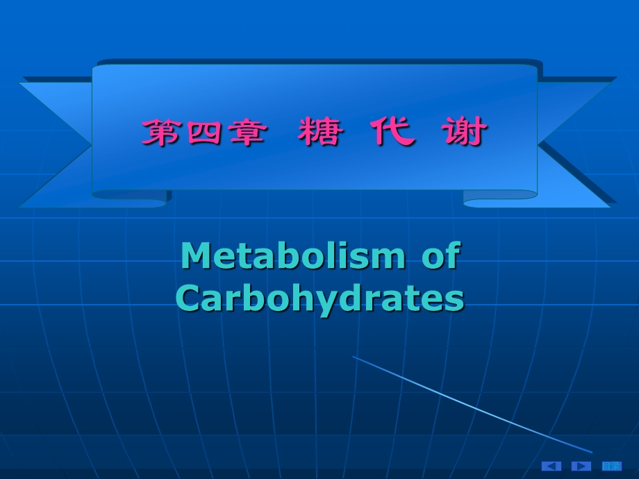 第04章糖代谢NEW10.ppt_第1页