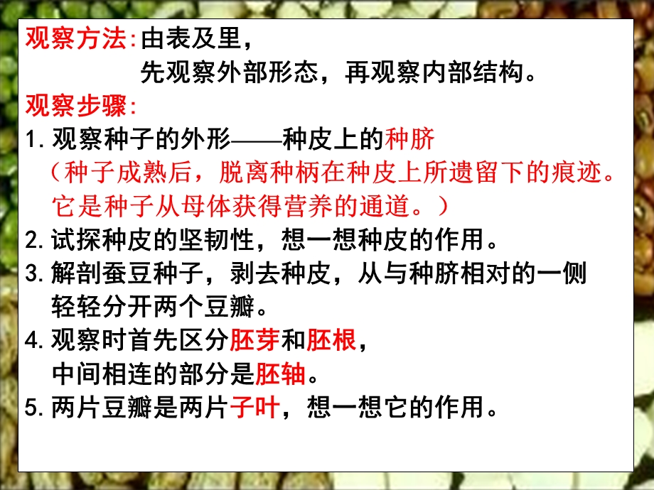 植物的生长发育.ppt_第3页