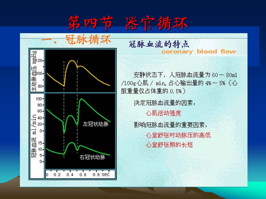 循环生理器官循环.ppt_第1页