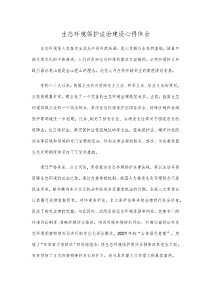 生态环境保护法治建设心得体会.docx