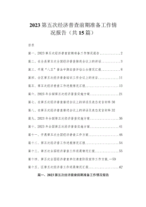 2023第五次经济普查前期准备工作情况报告（共15篇）.docx