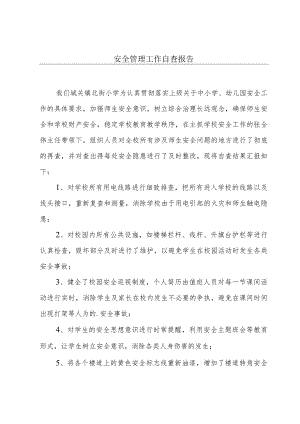 安全管理工作自查报告.docx