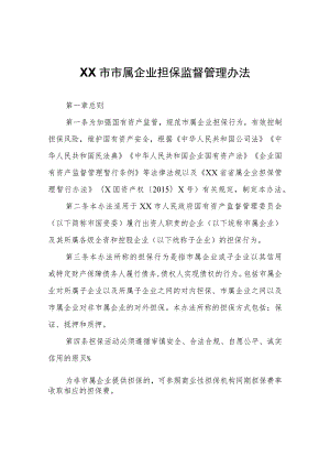 XX市市属企业担保监督管理办法.docx