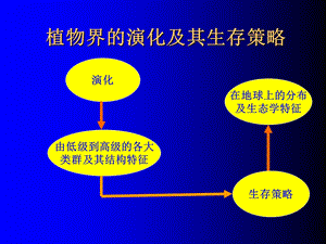 植物界的演化及其生存策略临床.ppt