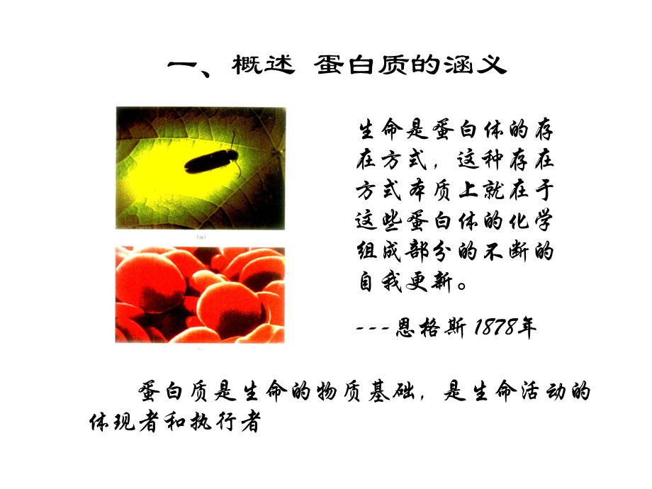 氨基酸和多肽.ppt_第3页