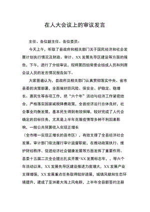 在人大会议上的审议发言.docx