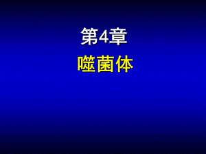 第04章噬菌体ppt课件名师编辑PPT课件.ppt