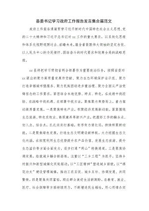 县委书记学习政府工作报告发言集合篇范文.docx