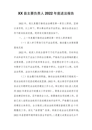 XX县负责人2022年度述法报告.docx