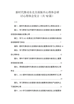 2023新时代推动东北全面振兴心得体会研讨心得体会发言（共12篇）.docx