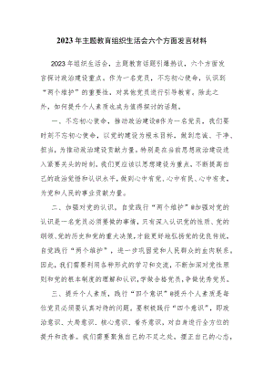 2023年主题教育组织生活会六个方面发言材料.docx