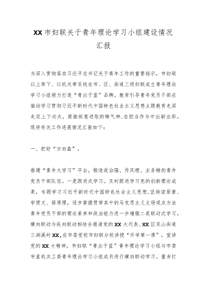 XX市妇联关于青年理论学习小组建设情况汇报.docx