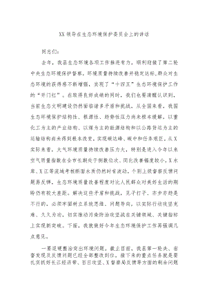 XX领导在生态环境保护委员会上的讲话 .docx