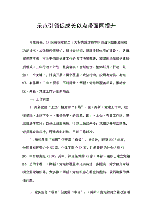 示范引领促成长以点带面同提升.docx