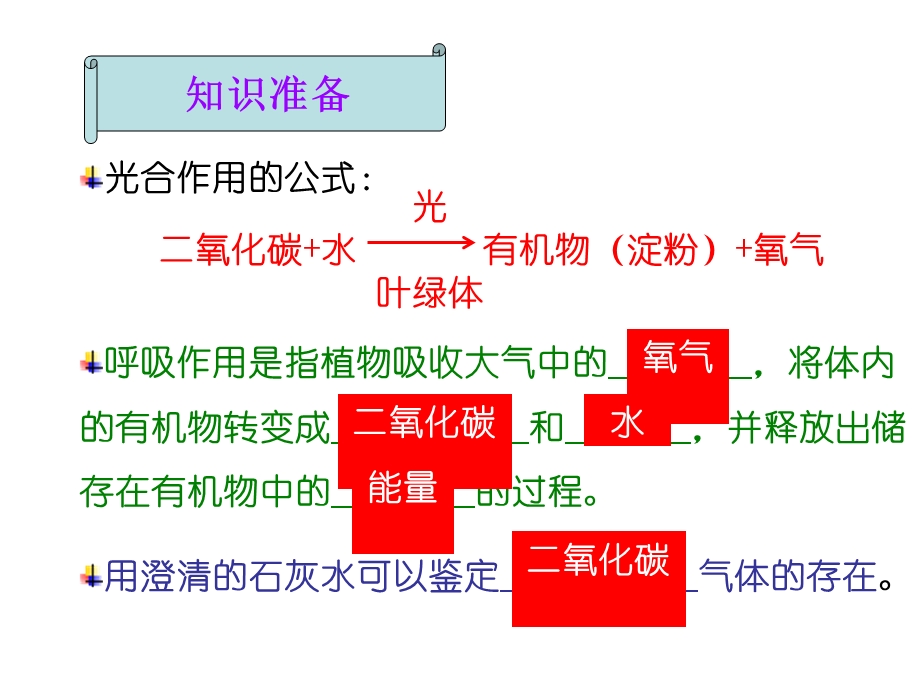 植物的呼吸作用.ppt_第3页