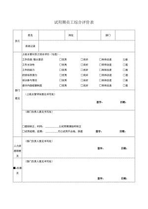 试用期员工综合评价表.docx