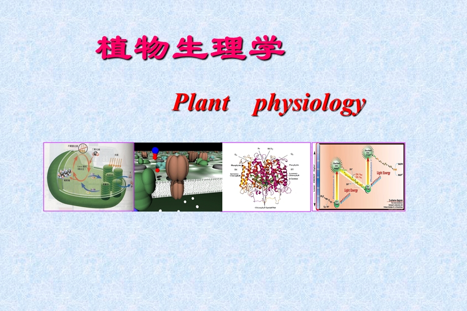 植物生理学之激素.ppt_第1页