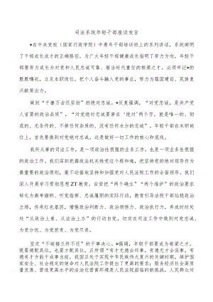 司法系统年轻干部座谈发言.docx