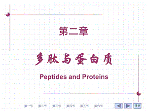 第02章多肽与蛋白质.ppt