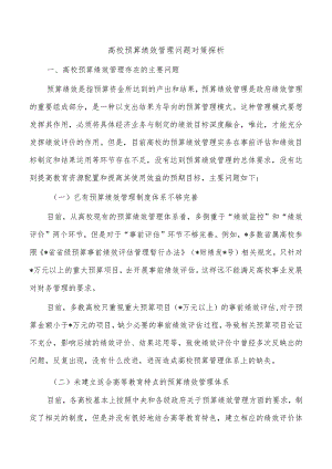 高校预算绩效管理问题对策探析.docx