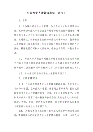 专业人才管理办法.docx