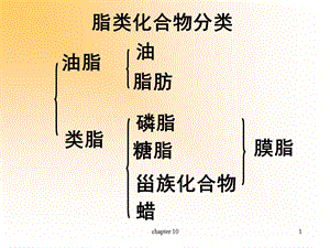 第10章脂类化合物双语.ppt