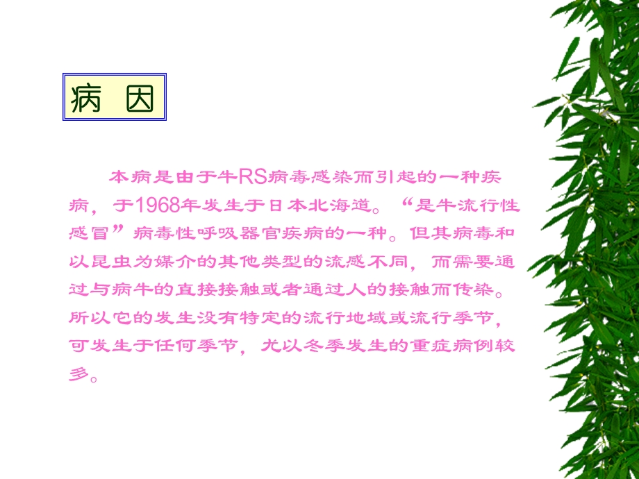 病毒感染症名师编辑PPT课件.ppt_第2页