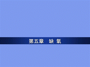 病理生理学缺氧ppt课件.ppt