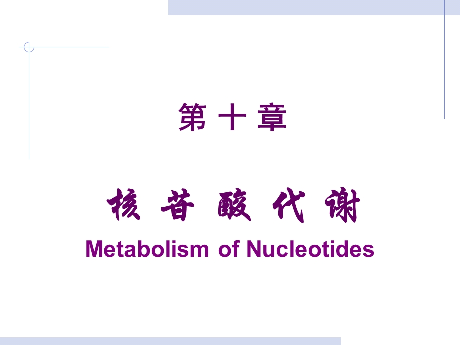 第10章核苷酸.ppt_第1页