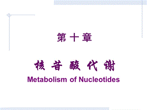 第10章核苷酸.ppt