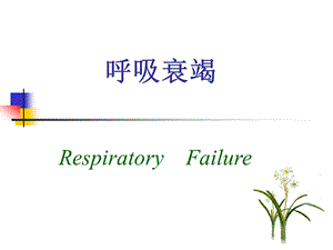 病理生理第16章呼吸衰竭.ppt