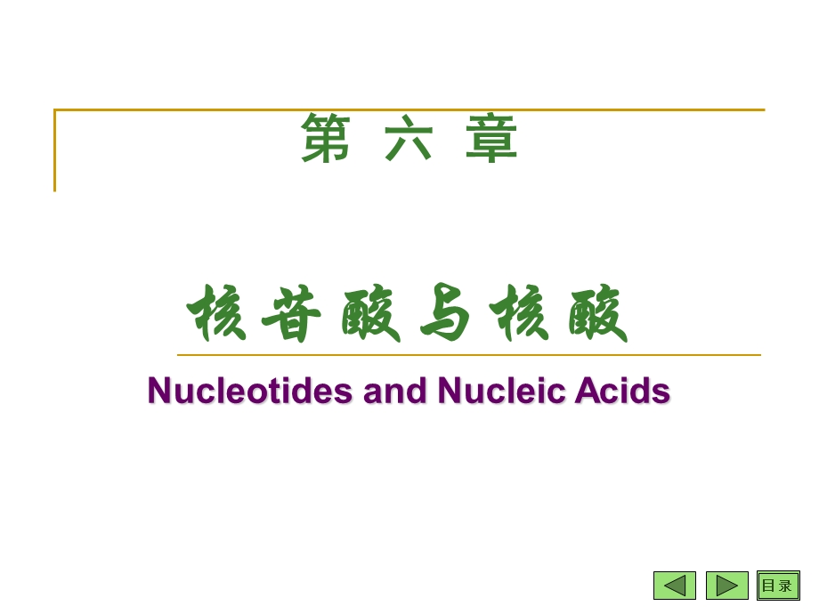 第06章核苷酸与核酸.ppt_第1页