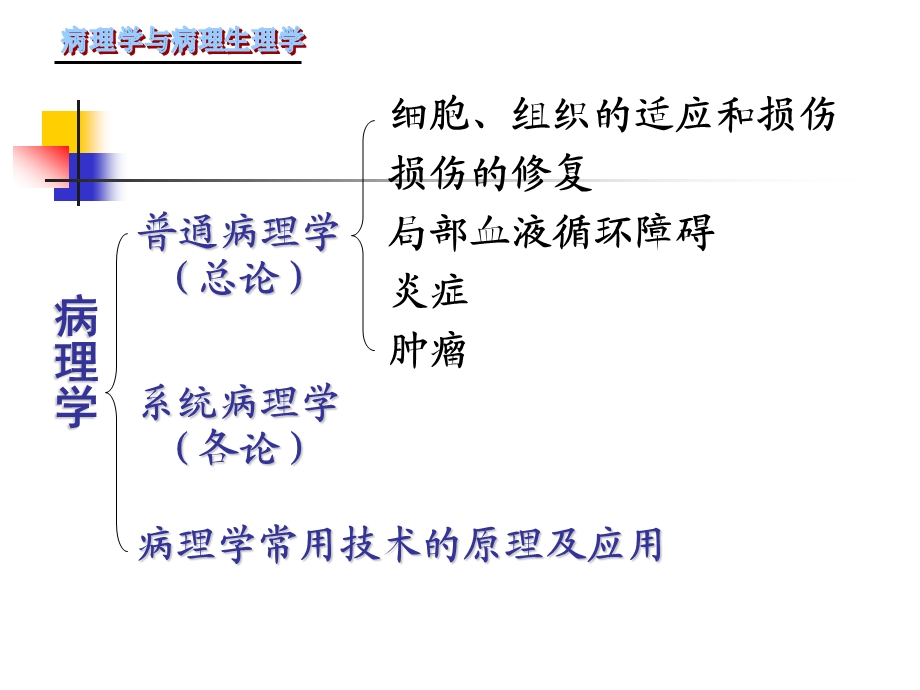 病理学课件2名师编辑PPT课件.ppt_第3页