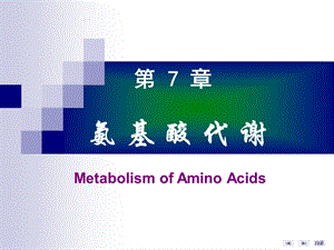 第07章氨基酸代谢1.ppt