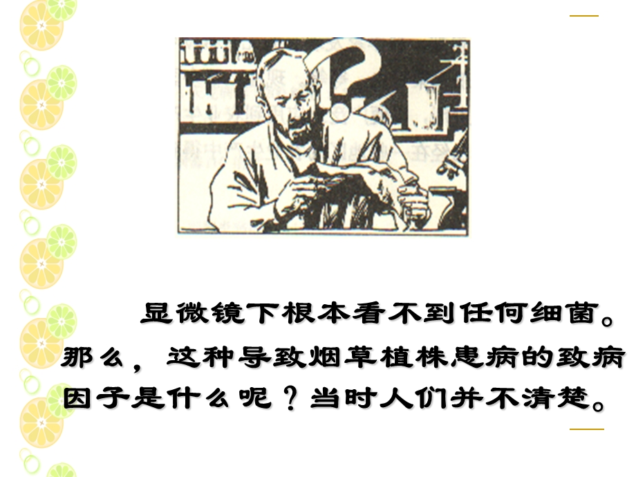 病毒发现史.ppt_第2页