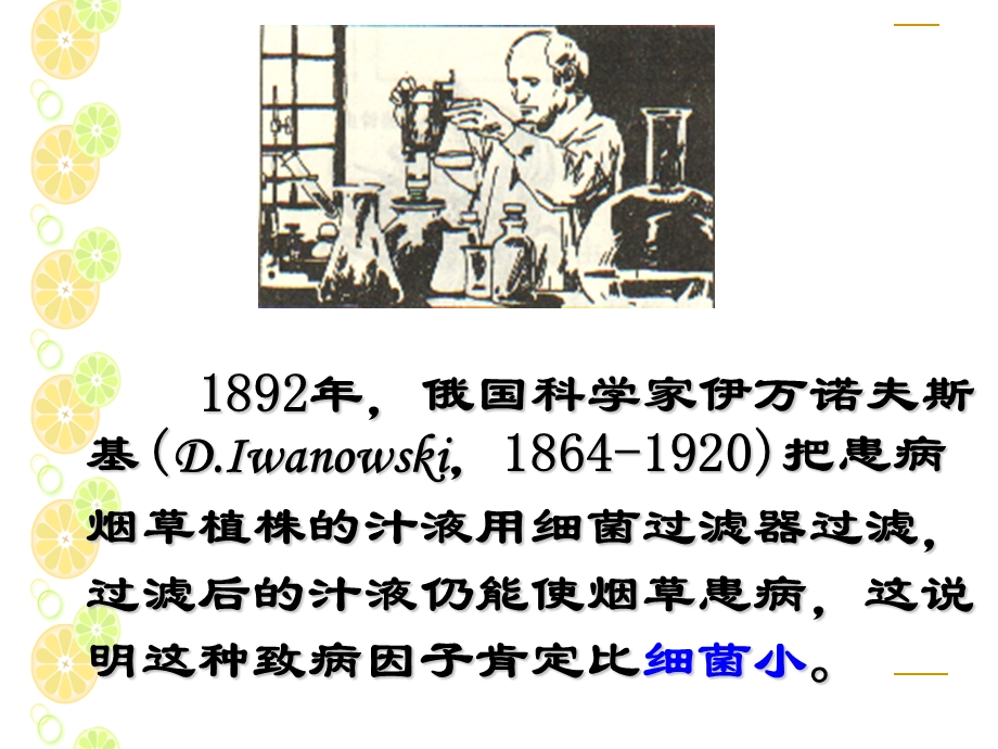 病毒发现史.ppt_第3页