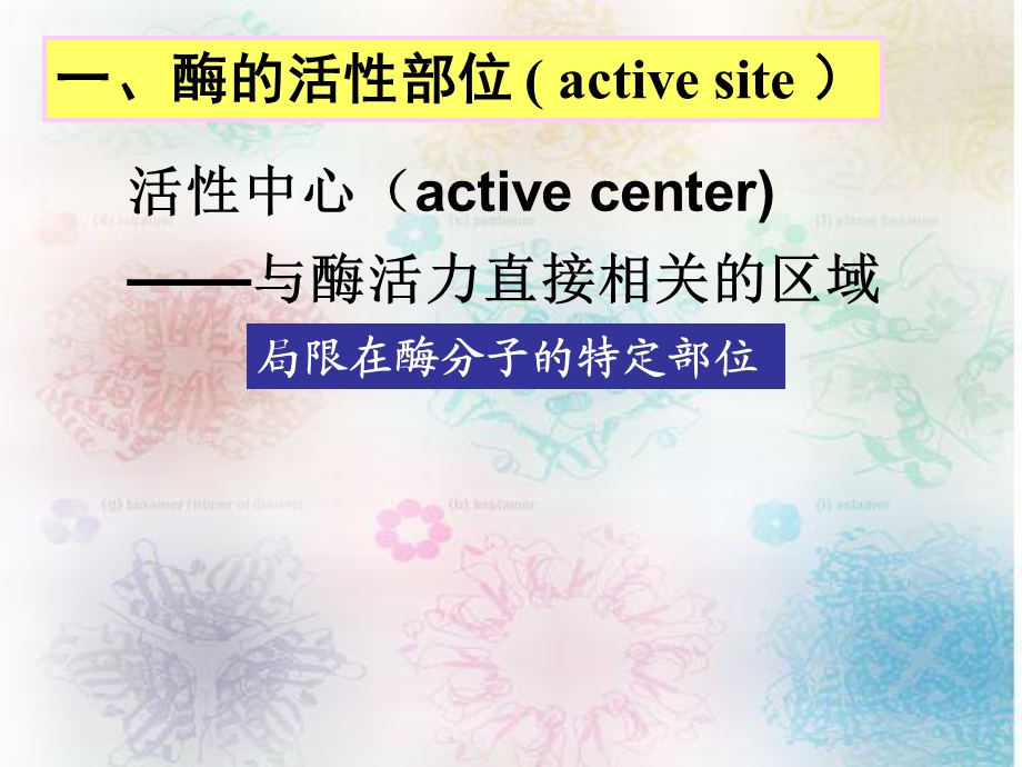 第10章酶的作用机制和酶的调节.ppt_第2页