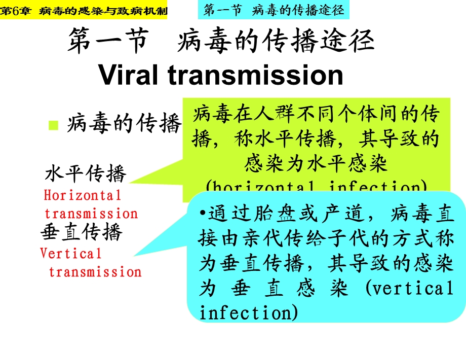 病毒的感染与致病机制名师编辑PPT课件.ppt_第2页