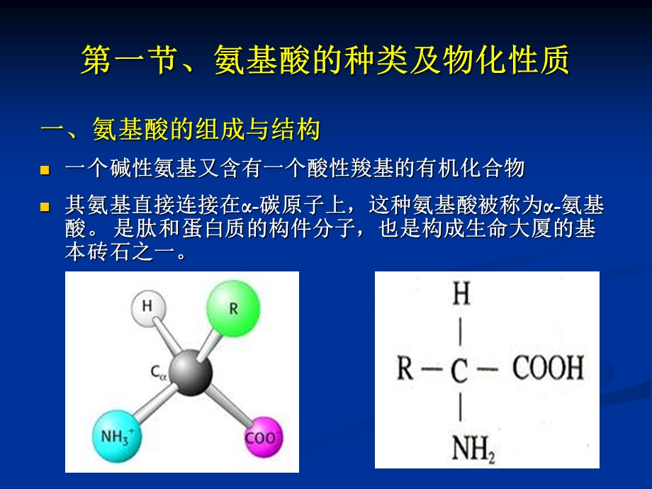 第10章氨基酸类药物.ppt_第3页