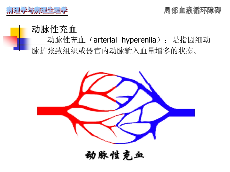 病理学第3章局部血液循环障碍.ppt_第3页