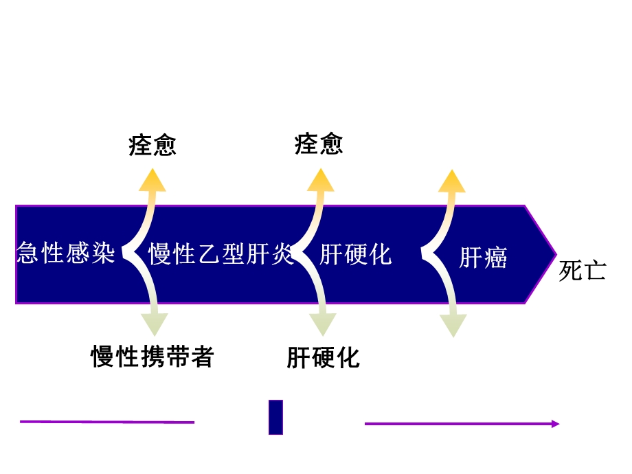 病毒感染性疾病肝炎.ppt_第2页