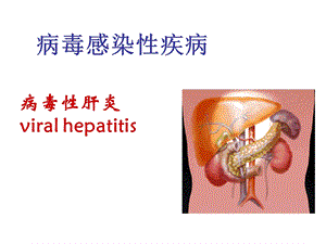 病毒感染性疾病肝炎.ppt