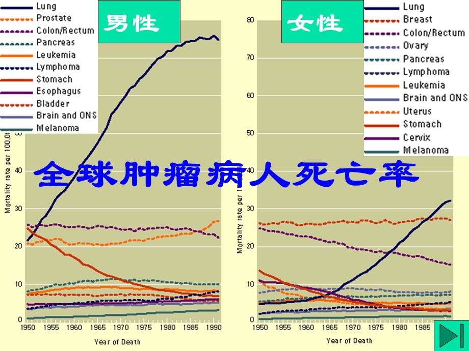 病理课件.ppt_第3页