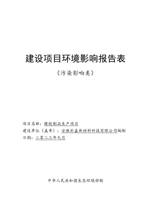 安徽朴嘉新材料科技有限公司橡胶制品生产项目环境影响报告表.docx