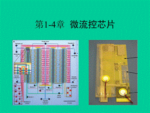 第14章微流控芯片.ppt