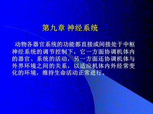 第09章神经系统.ppt